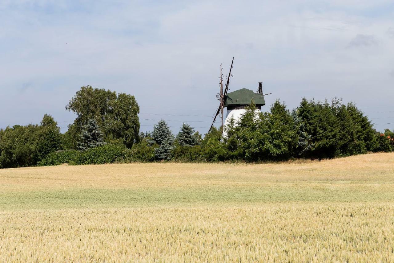 Windmill Vacation Home In Ledzin Near Baltic Sea Niechorze Luaran gambar