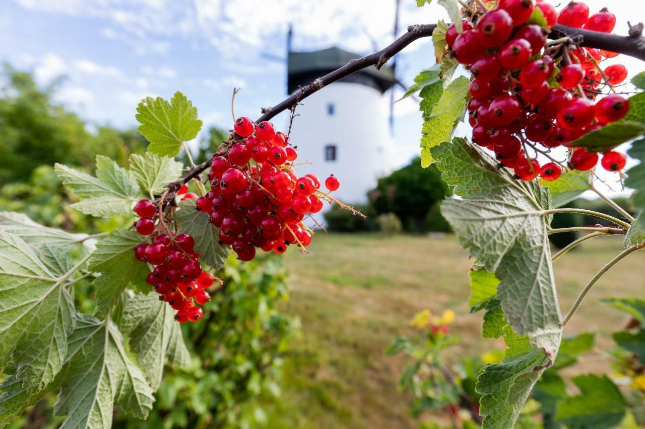 Windmill Vacation Home In Ledzin Near Baltic Sea Niechorze Luaran gambar
